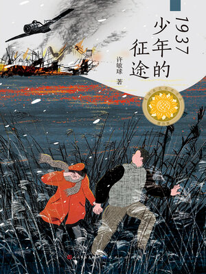 cover image of 1937少年的征途